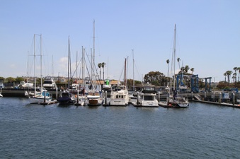 Enlarge photo 77