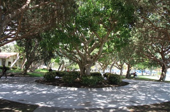 Enlarge photo 83