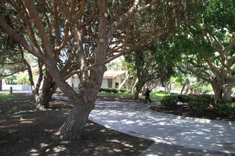 Enlarge photo 84