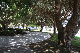 Enlarge photo 85