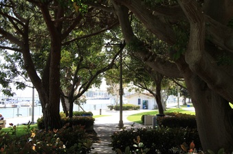 Enlarge photo 87