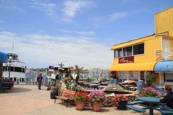 Enlarge photo 19