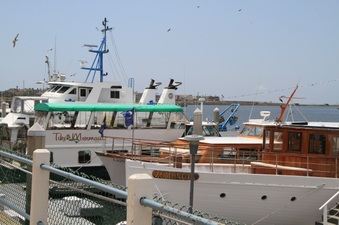 Enlarge photo 33