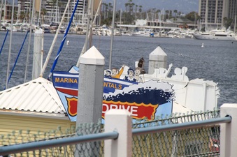 Enlarge photo 36