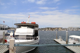 Enlarge photo 37