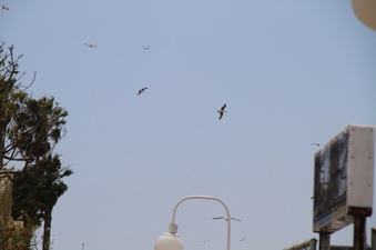 Enlarge photo 39