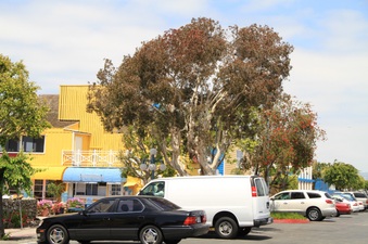 Enlarge photo 6