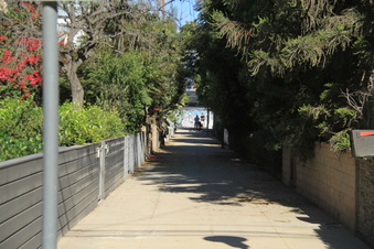Enlarge photo 36