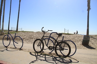 Enlarge photo 40