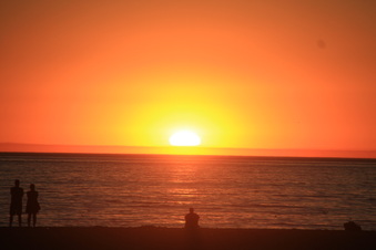 Enlarge photo 52
