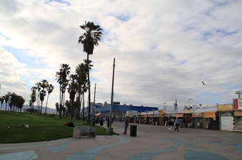 Enlarge photo 41
