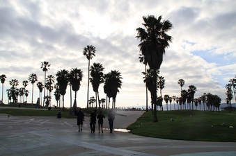 Enlarge photo 42