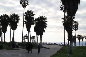 Enlarge photo 43