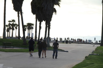 Enlarge photo 44