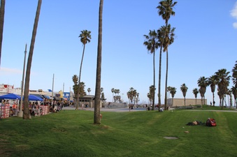 Enlarge photo 45