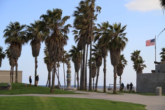 Enlarge photo 50