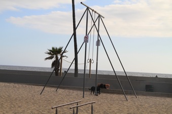 Enlarge photo 18