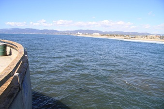 Enlarge photo 23