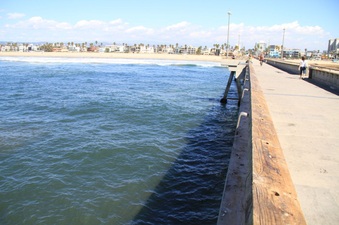 Enlarge photo 20