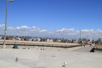 Enlarge photo 31