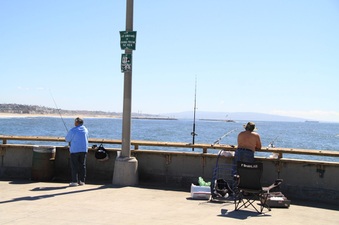 Enlarge photo 25