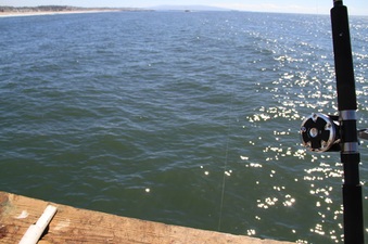 Enlarge photo 28