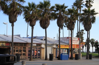 Enlarge photo 59