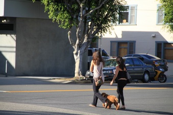 Windward Circle/Main St.