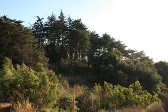 Enlarge photo 44
