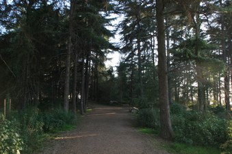 Enlarge photo 43