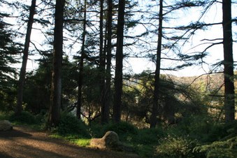 Enlarge photo 42