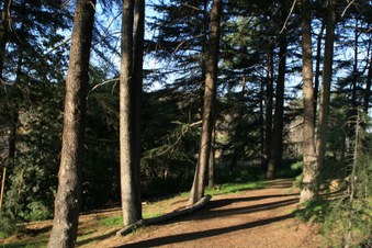 Enlarge photo 39