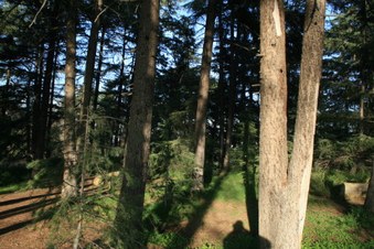 Enlarge photo 38