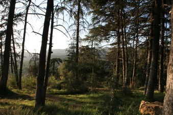 Enlarge photo 37