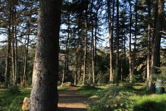 Enlarge photo 36