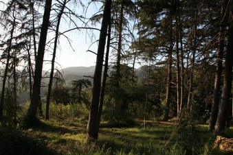 Enlarge photo 33