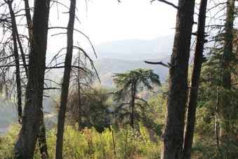 Enlarge photo 32