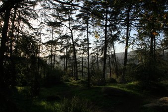 Enlarge photo 31