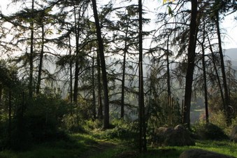 Enlarge photo 30
