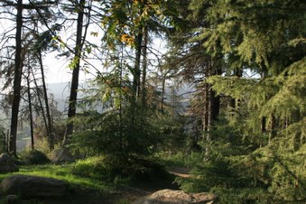 Enlarge photo 29