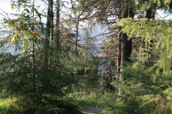 Enlarge photo 28