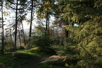 Enlarge photo 27