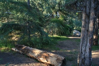 Enlarge photo 26