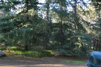 Enlarge photo 24