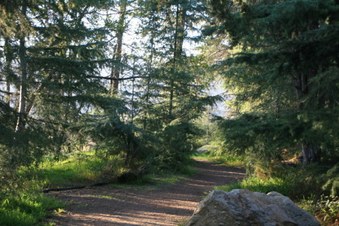 Enlarge photo 23