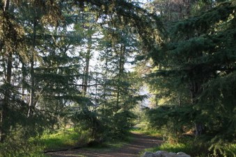 Enlarge photo 22