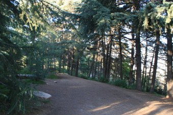 Enlarge photo 21