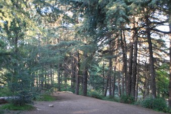 Enlarge photo 20