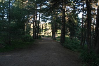 Enlarge photo 19