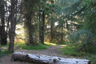 Enlarge photo 18